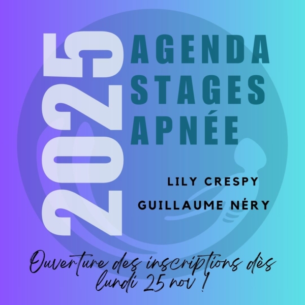 Calendrier stages apnée 2025